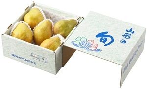 ご家庭用 シルバーベル（西洋梨）約2.5kg5玉から7玉: JAてんどう