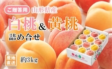  �R�`���Y�����������l�ߍ��킹�@��3kg�i8�`12�ʁj�G�i�@��8�����{�ȍ~�����\��