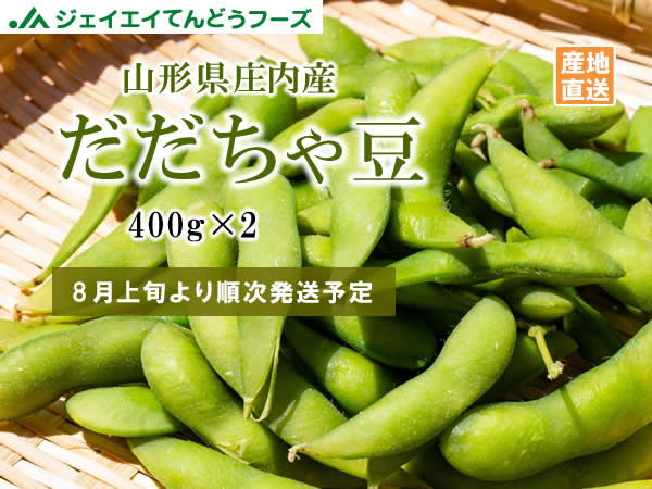 ᓤ 800g (400g×2) }