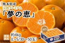 熊本県産完熟プレミアム「夢の恵」約4kg