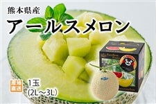 熊本県産アールスメロン1玉