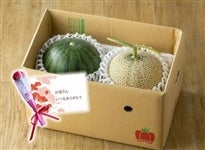 ��̓����ʂ��������A�[���X�������l�ߍ��킹�@�J�[�l�[�V�������J�[�h�t�@�F�{���Y