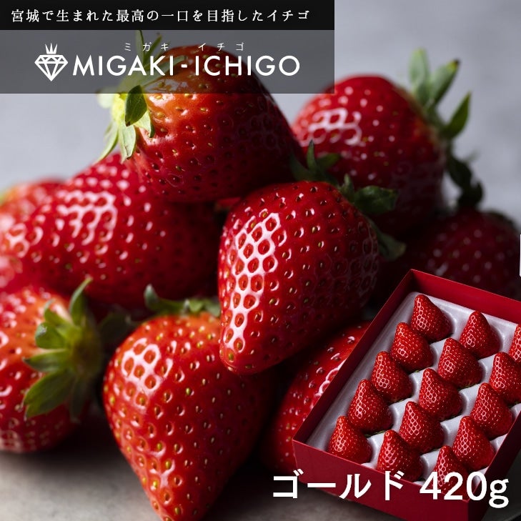 �{�錧�Y�~�K�L�C�`�S�E�S�[���h�@���ϔ�