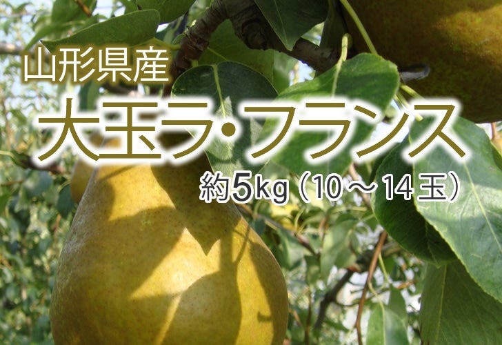 GiEtX5kg(14`20)