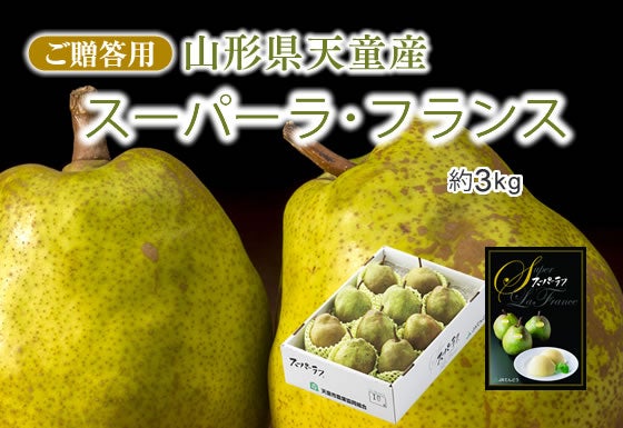 X[p[EtX3kg