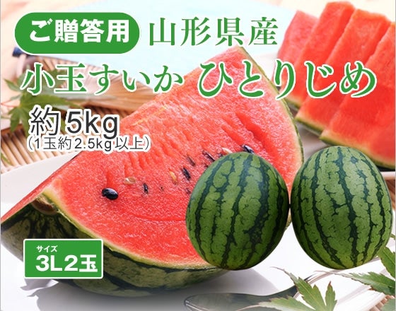 ʂwЂƂ肶߁x3L2ʁi5kgjR`Y	