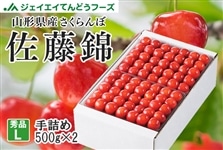 さくらんぼ 佐藤錦石垣手詰め 秀L玉 500g×2 山形県産 贈答用: JA