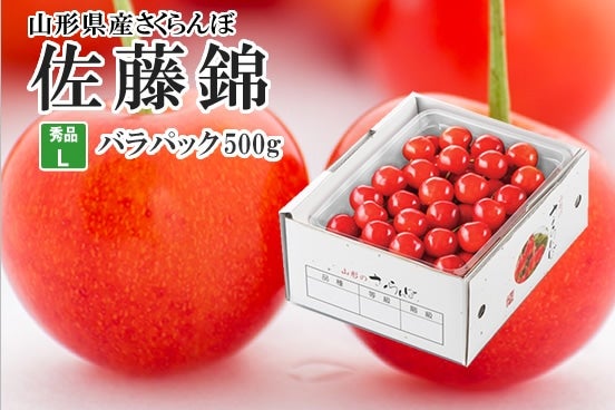 Giڍ500opbNL