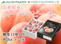 �V���u�����h�����X�[�p�[�s�[�`��2kg�@5�`7�ʁ@���x�ۏ؁@�R�`���Y