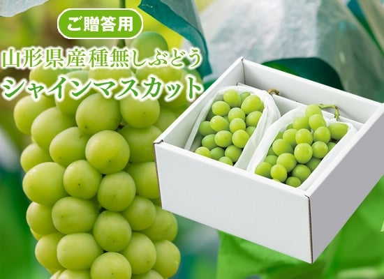 山形県産シャインマスカット2房 2箱 約1.3キロ - 果物