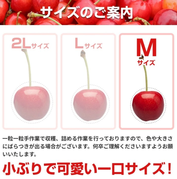 ご家庭用】さくらんぼ佐藤錦1kg×2箱 バラ詰め M玉サイズ以上 山形県産