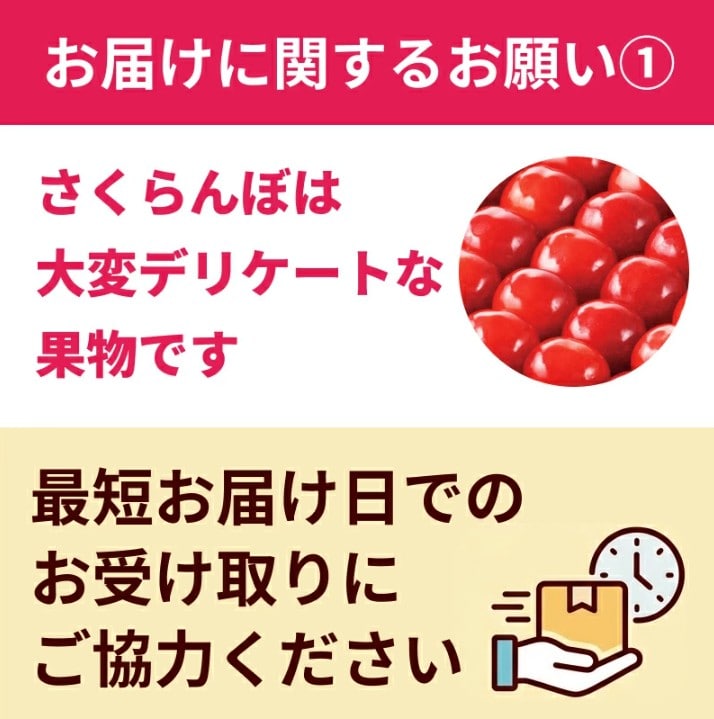 ご家庭用】さくらんぼ佐藤錦1kg×2箱 バラ詰め M玉サイズ以上 山形県産