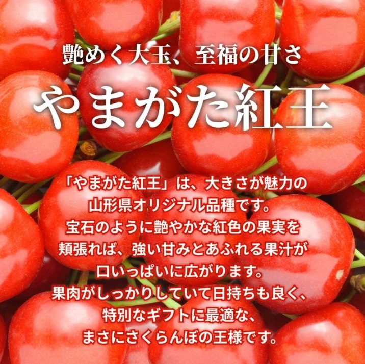 秀品やまがた紅王2Lサイズ約500g 山形県産: JAてんどうフーズ|【JA