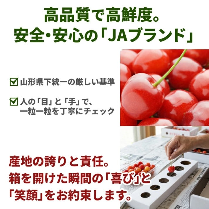 さくらんぼ3種食べ比べセット（佐藤錦/紅秀峰/やまがた紅王） 山形県産