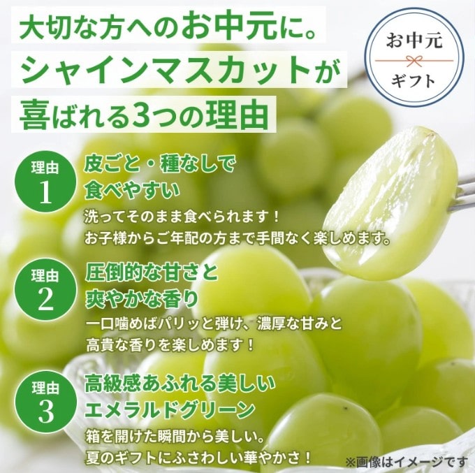秀品】長野県産シャインマスカット約500g×2 お中元 ※7月下旬以降発送