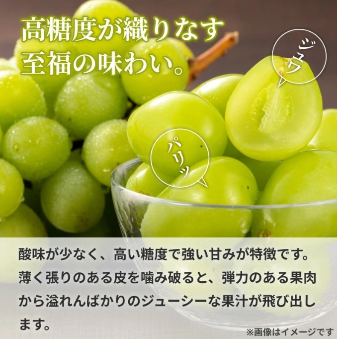 秀品】長野県産シャインマスカット約500g×2 お中元 ※7月下旬以降発送