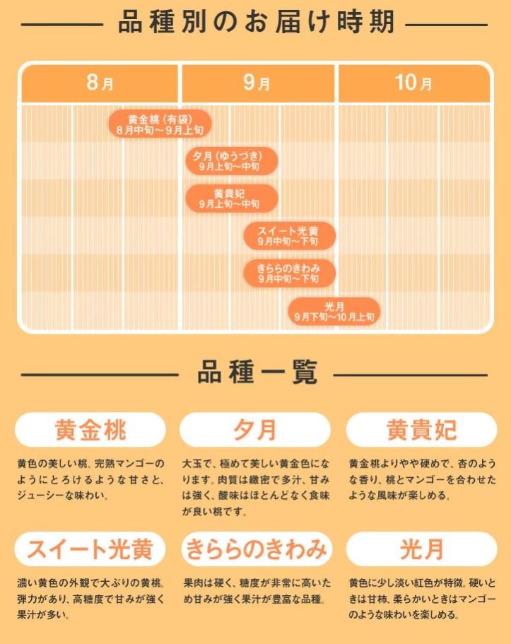 山形県産白桃＆黄桃詰め合わせ 約3kg（8～12玉）秀品 ※8月下旬以降発送