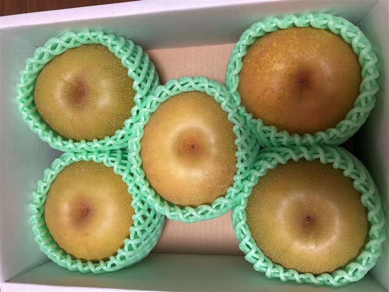 山形県産和梨（品種おまかせ）約2㎏: 小さなYAMAGATAマルシェ