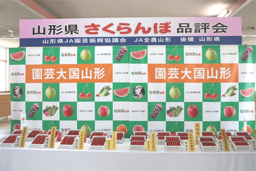 さくらんぼ「佐藤錦」【山形県さくらんぼ品評会 農林水産大臣賞受賞