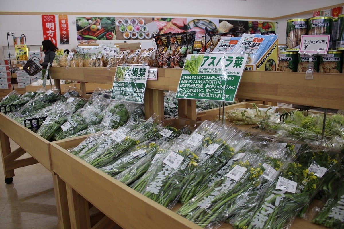 詰合わせBOX「10品以上」！:　山形県産「季節の野菜」おまかせ　通販　小さなＹＡＭＡＧＡＴＡマルシェ|【ＪＡタウン】産地直送　お取り寄せ