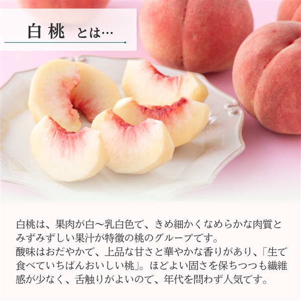 JAさがえ西村山産 さくら白桃 約3㎏（8～12玉）: 小さな