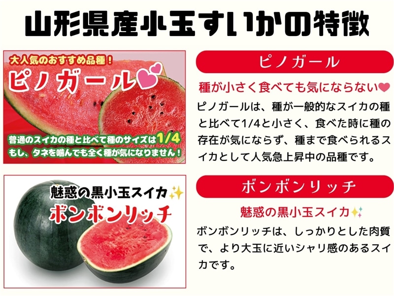 山形県産小玉すいか「ひとりじめBonBonリッチ」1玉: 小さな