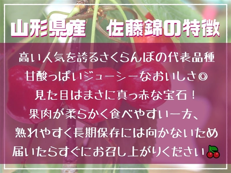 専用ページ　佐藤錦Mサイズバラ詰　1キロ×5セット　宛先別 ご家庭用》さくらんぼ佐藤錦1kgバラ詰Mサイズ(500g×2)