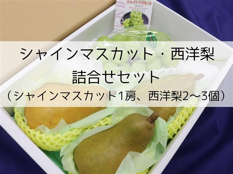 産地直送 通販 お取り寄せｊａやまがた ラ フランス約３ｋｇ １０玉前後 小さなｙａｍａｇａｔａマルシェ ｊａタウン