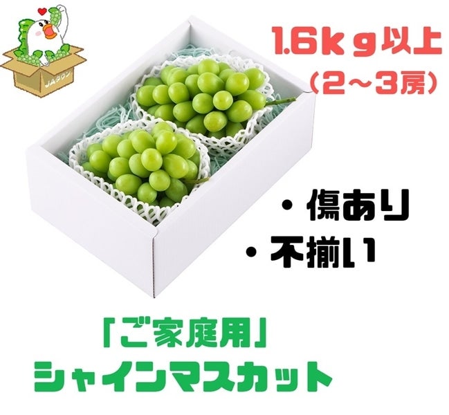 シャインマスカット粒2.5kg【長野県産】 - 果物