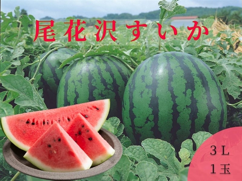 熊本産地直送すいか ９㎏ 日本公式通販サイト その他