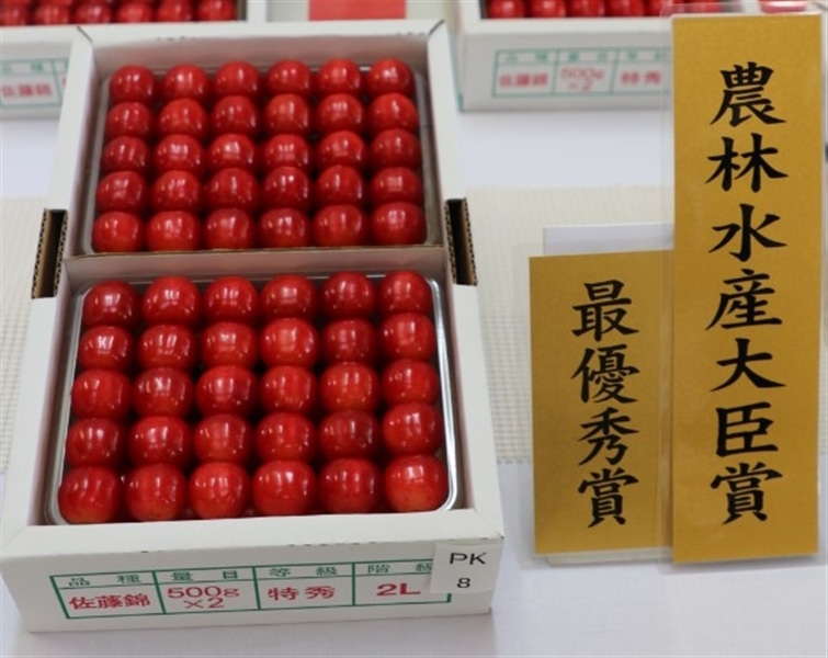 nk　リクエスト出品　鰐亀錦　BB錦　TC 匿名配送 さくらんぼ「佐藤錦」【山形県さくらんぼ品評会 農林水産大臣賞受賞