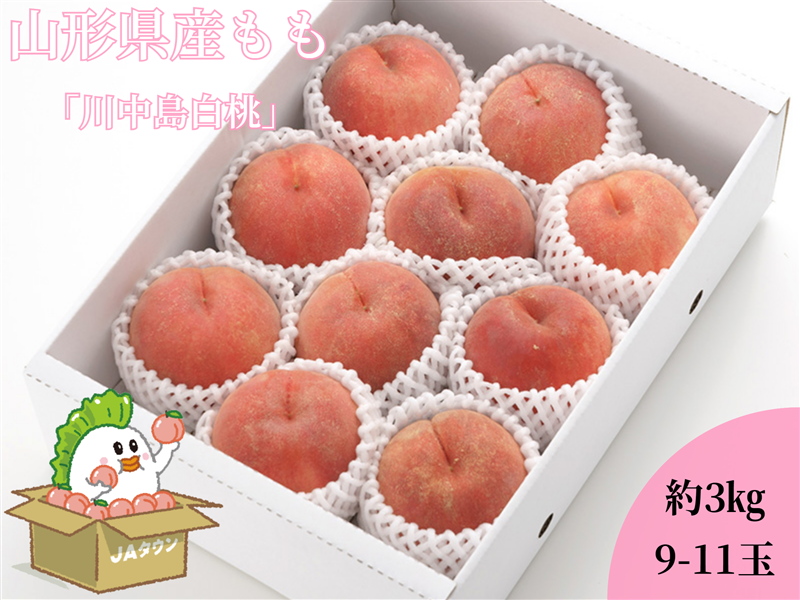 【数量限定】川中島白桃 約3kg(9~11玉)
