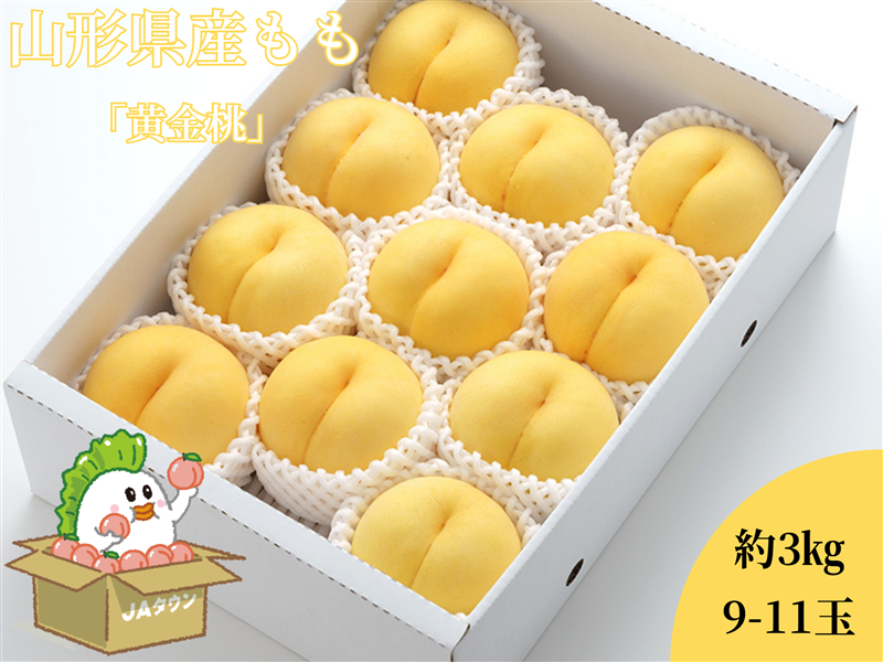 【限定100箱】黄金桃 約3kg(9~11玉)