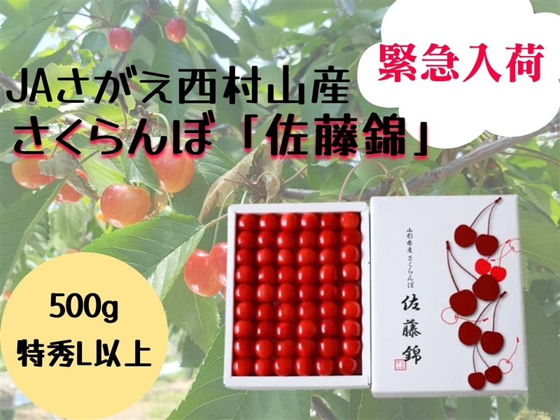 ささえさんサマ専用トリッペン　38 YEN 赤 緊急入荷！JAさがえ西村山産さくらんぼ「佐藤錦」500g手詰め: 小さな