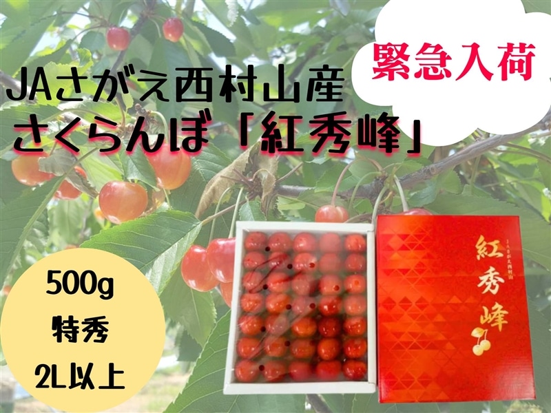 緊急入荷！JAさがえ西村山産さくらんぼ「紅秀峰」500g手詰め: 小さな