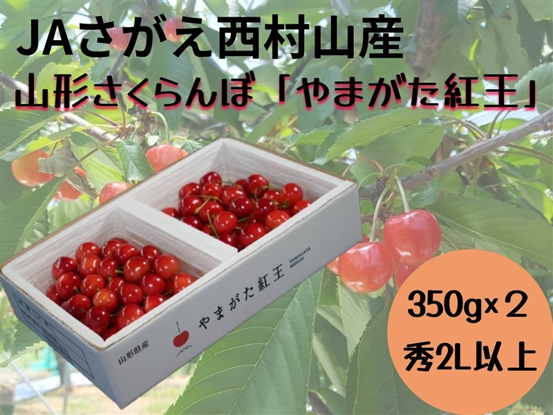 サクラチャンレコード2枚ご購入800円割引価格 さくらカード編』のオープニング衣装をまとった、さくらちゃんが 洋楽