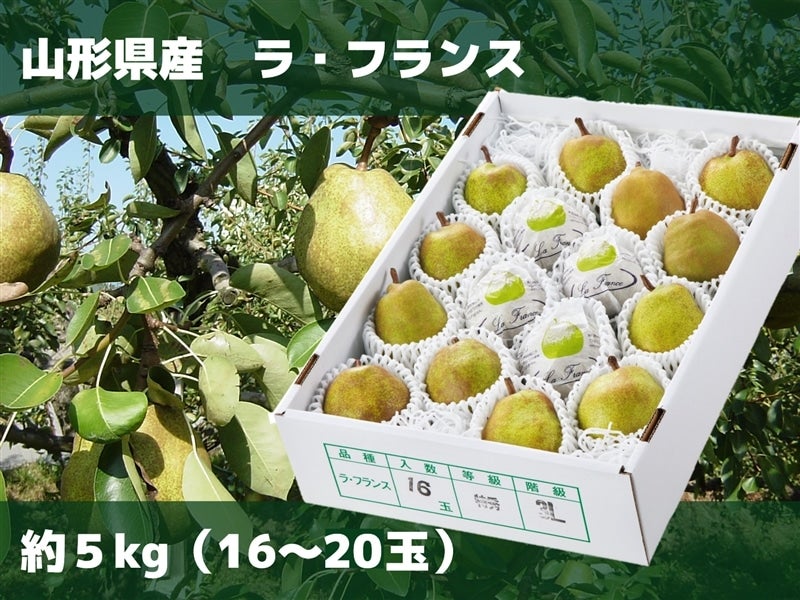 last〒2017・2018限定版 ご当地フォルムカード 山形【ラ・フランス】〒 〒2017・2018限定版 ご当地フォルムカード 山形 【ラ・フランス】 〒