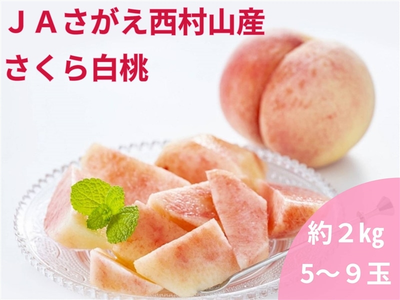 JAさがえ西村山産 さくら白桃 約2㎏（5～9玉）: 小さな