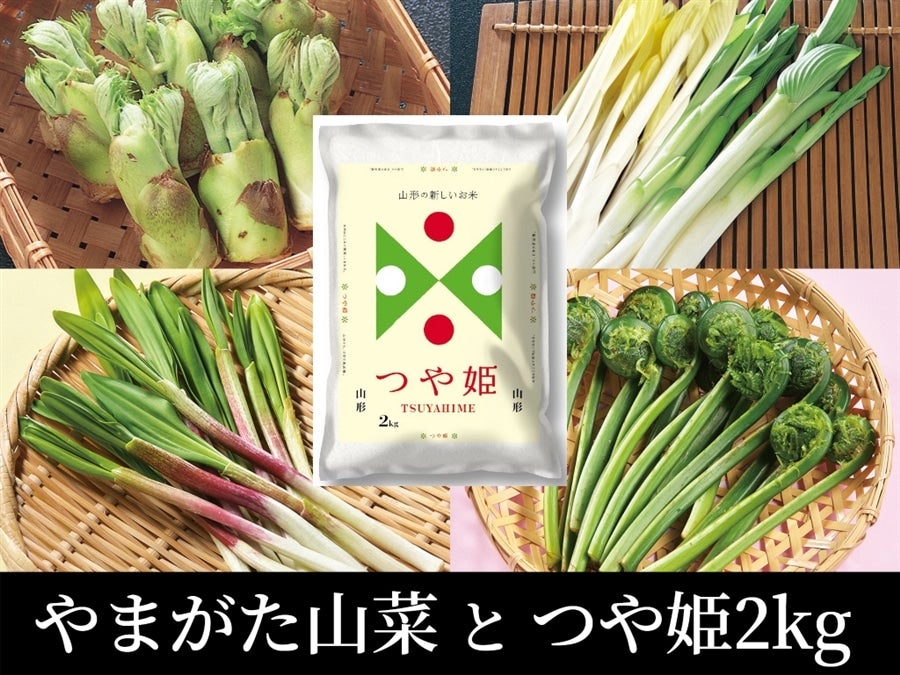 通販　小さなＹＡＭＡＧＡＴＡマルシェ|【ＪＡタウン】産地直送　やまがた山菜詰合せとつや姫2kg[クール冷蔵便]:　お取り寄せ