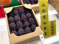 R`ԂǂufEFAvi]܏i