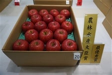 ߘaVNxR`uӂvi]ŗDG܏iTs