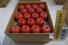 ߘaVNxR`񂲁uӂvi]DG܏iTs