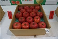 ߘaVNxR`񂲁uӂvi]D܏iTs