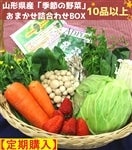 【定期購入】 山形県産　「季節の野菜」おまかせ　詰合わせBOX「 10品以上」！