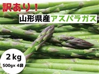 �y�󂠂�E�ƒ�p�z�R�`���Y�A�X�p���K�X2.0�s�i����������P�T�Ԉȓ������j