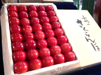 【数量限定】超促成さくらんぼ「佐藤錦」