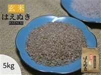 2404-genmai-haenuki5.jpg