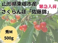 緊急入荷！山形県東根市産さくらんぼ「佐藤錦」秀M500gバラ詰め