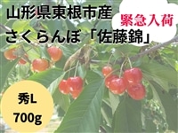 �ً}���ׁI�R�`�������s�Y�������ځu�����сv�GL700g�o���l��