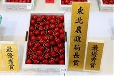 ځuсvyR`ڕi]@k_ǒ܎܏iz